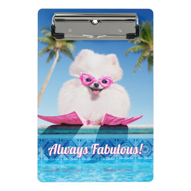 Minicarpeta De Pinza Perro De La Piscina En Los Flippers (Anverso)