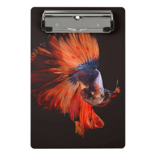Minicarpeta De Pinza Pez Betta