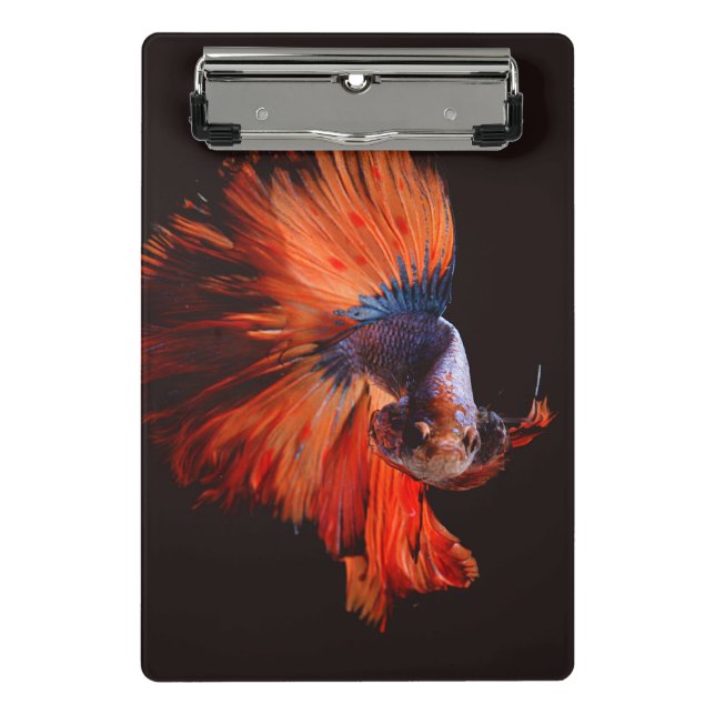 Minicarpeta De Pinza Pez Betta (Anverso)