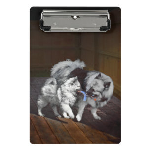 Minicarpeta De Pinza Pintado Keeshond Playtime - Arte Perro Original.