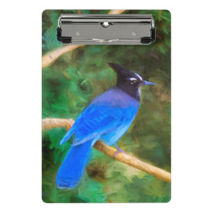 Minicarpeta De Pinza Pintura de Jay de Steller - Arte de pájaro origina