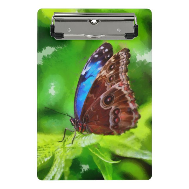 Minicarpeta De Pinza Pintura de mariposa (Anverso)