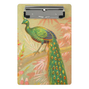 Minicarpeta De Pinza Pintura de pavo real y flores