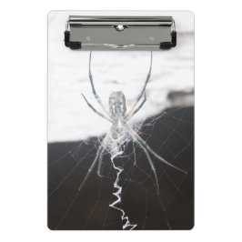 Minicarpeta De Pinza Placa de clip de araña