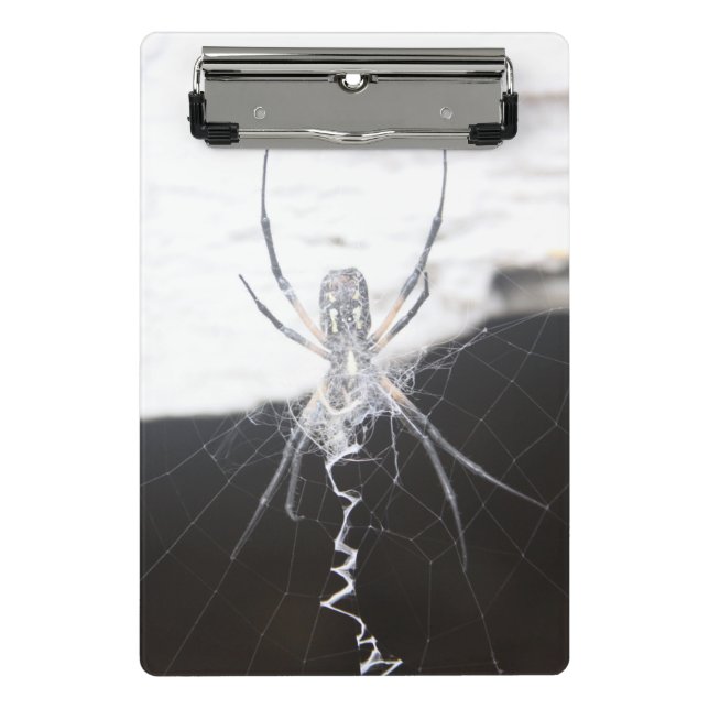 Minicarpeta De Pinza Placa de clip de araña (Anverso)