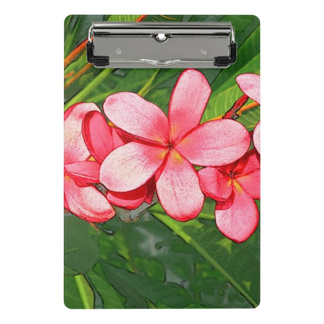 Minicarpeta De Pinza Plumerias (Anverso)