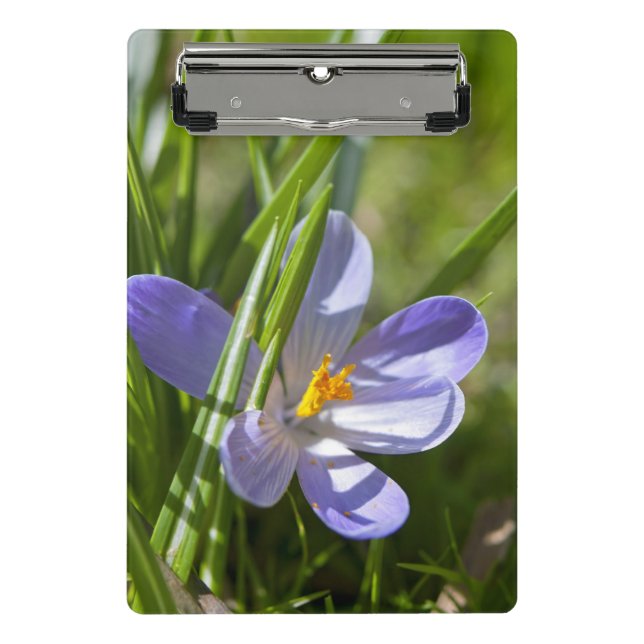 Minicarpeta De Pinza Primavera (Anverso)