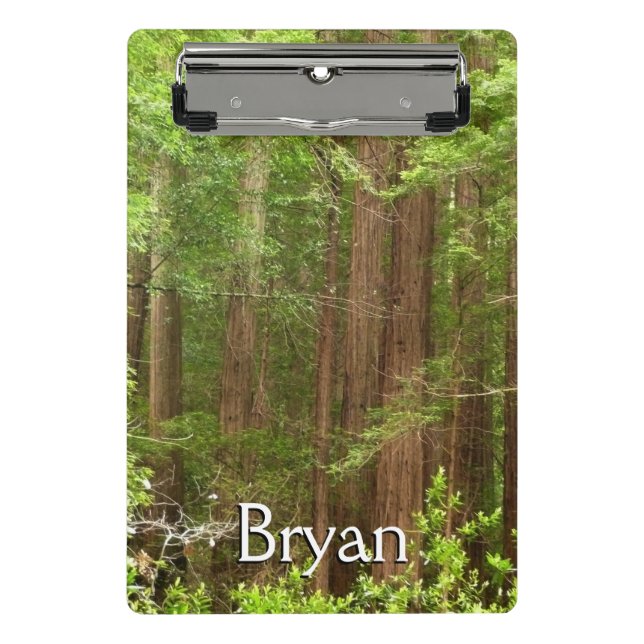 Minicarpeta De Pinza Redwood Trees at Muir Woods National Monument (Anverso)