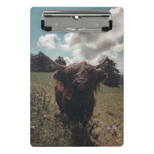 Minicarpeta De Pinza Retro vintage de vacas de raza negra escocesa