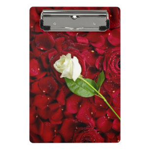 Minicarpeta De Pinza Rosa blanco en los pétalos rojos