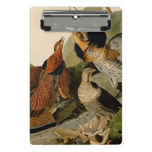 Minicarpeta De Pinza Ruffed Grouse Audubon Game Bird
