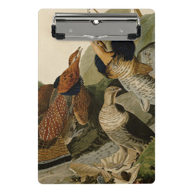 Minicarpeta De Pinza Ruffed Grouse Audubon Game Bird (Anverso)