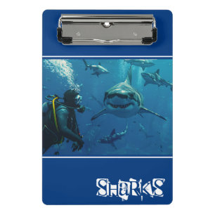 Minicarpeta De Pinza Tiburones