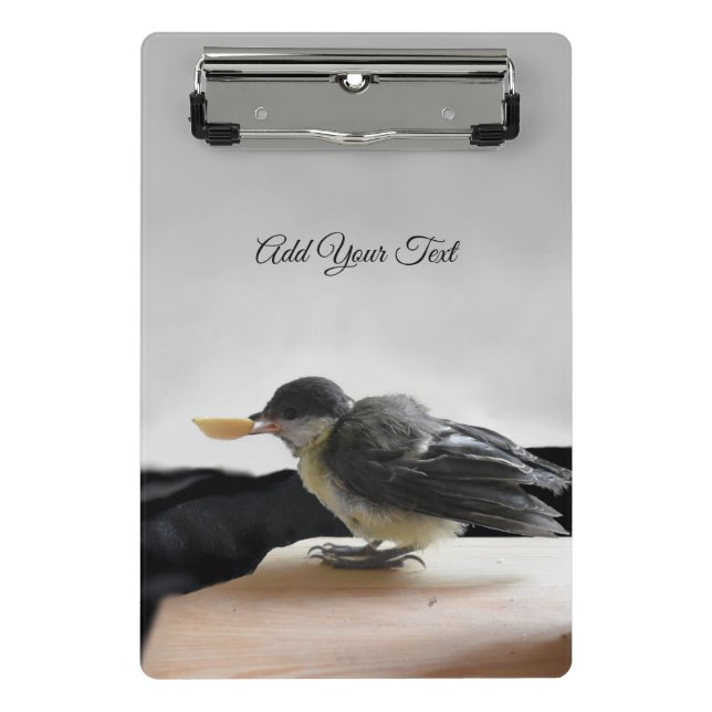 Minicarpeta De Pinza Tidi my Bird the Parus Major (Anverso)