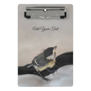 Minicarpeta De Pinza Tidi my Bird the Parus Major