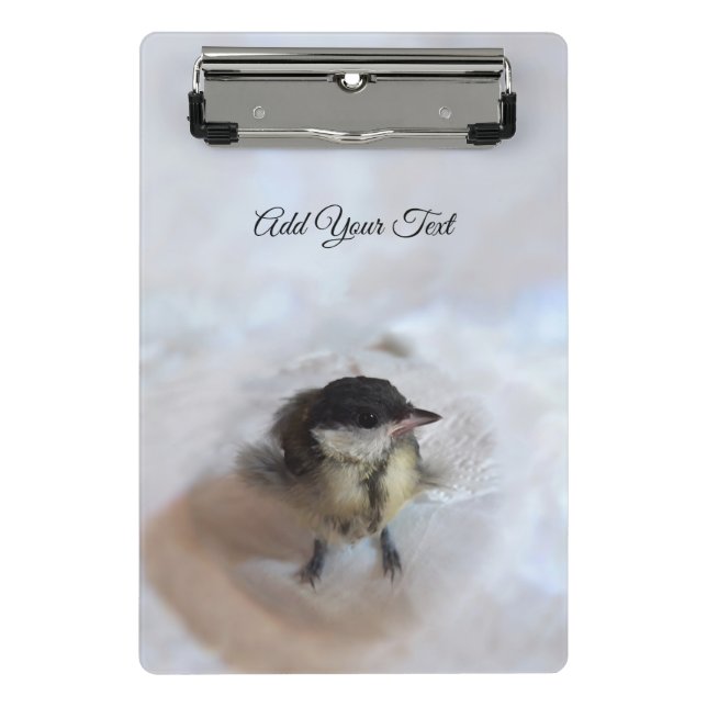 Minicarpeta De Pinza Tidi my Bird the Parus Major (Anverso)