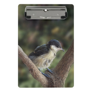 Minicarpeta De Pinza Tidi my Bird the Parus Major