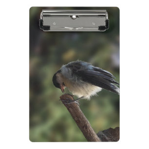 Minicarpeta De Pinza Tidi my Bird the Parus Major