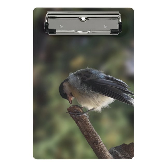 Minicarpeta De Pinza Tidi my Bird the Parus Major (Anverso)