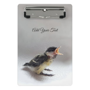 Minicarpeta De Pinza Tidi my Bird the Parus Major