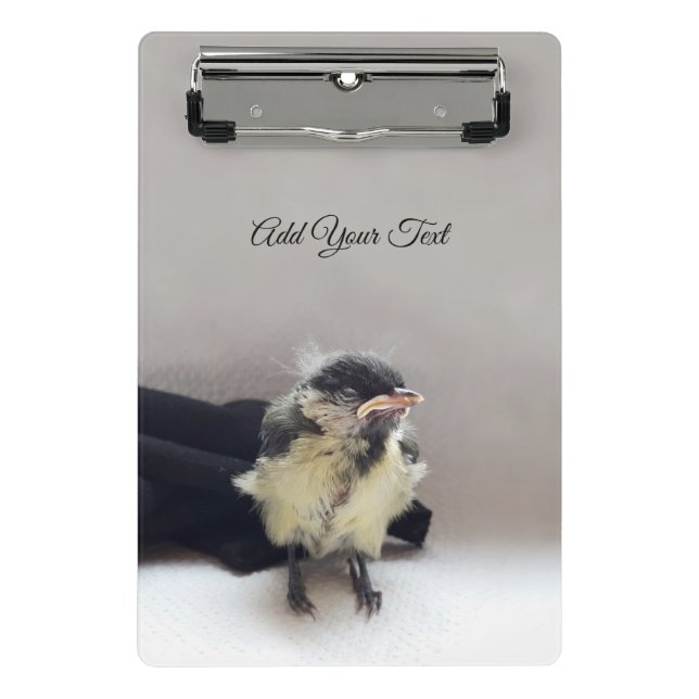 Minicarpeta De Pinza Tidi my Bird the Parus Major (Anverso)