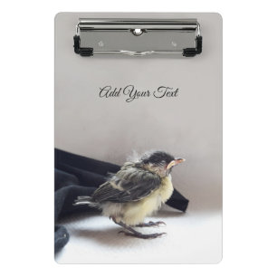 Minicarpeta De Pinza Tidi my Bird the Parus Major