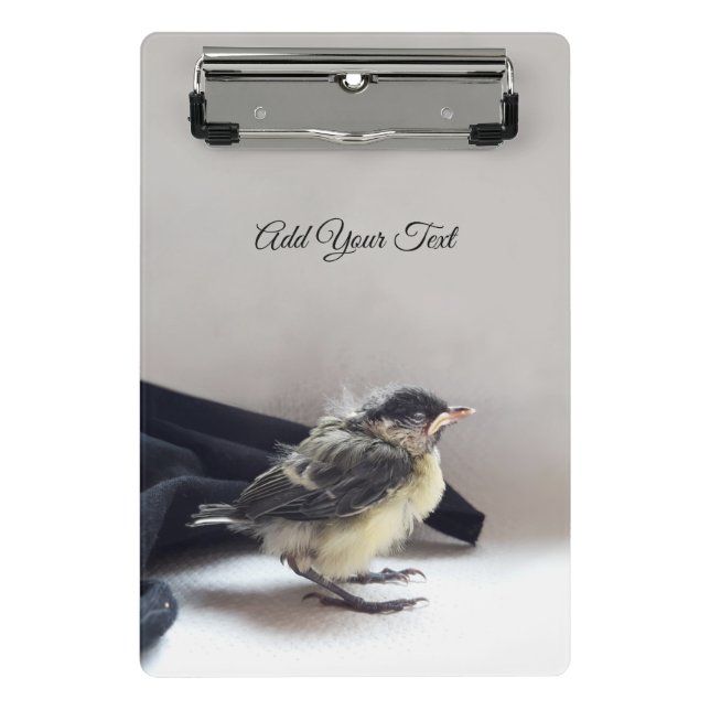 Minicarpeta De Pinza Tidi my Bird the Parus Major (Anverso)