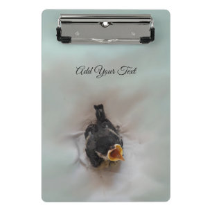 Minicarpeta De Pinza Tidi my Bird the Parus Major