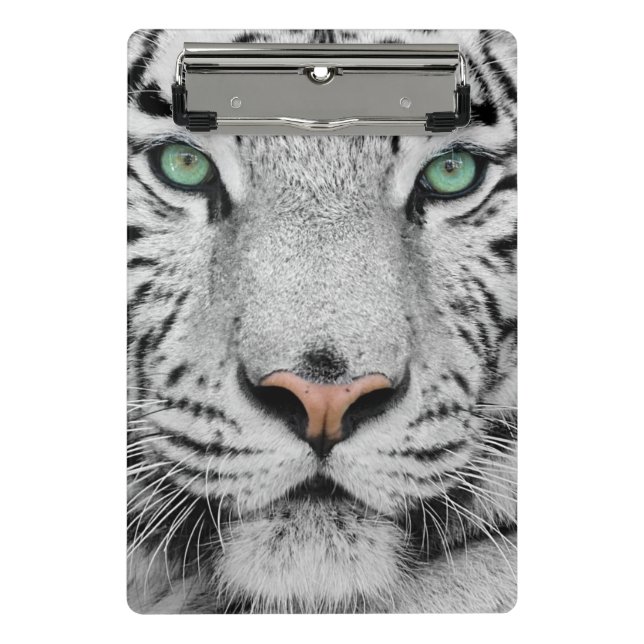 Minicarpeta De Pinza Tigre blanco (Anverso)
