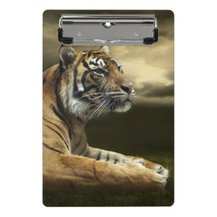 Minicarpeta De Pinza Tigre que mira y que se sienta debajo del cielo