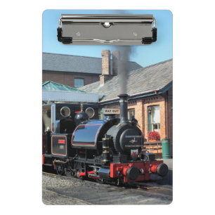 MINICARPETA DE PINZA TRENES DE VAPOR
