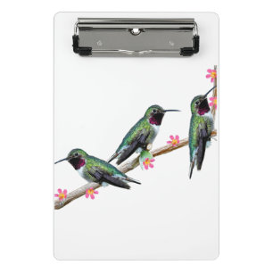 Minicarpeta De Pinza Tres colibríes en la rama Silencio perenne