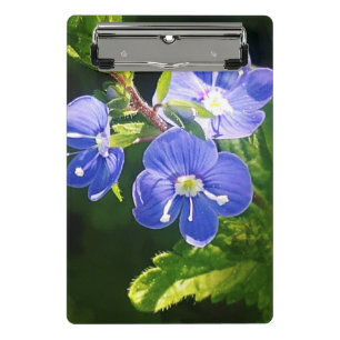 Minicarpeta De Pinza Tres flores azules