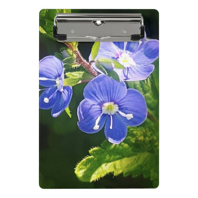 Minicarpeta De Pinza Tres flores azules (Anverso)