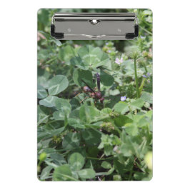Minicarpeta De Pinza Wasp Clipboards