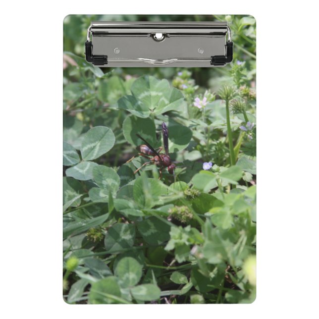 Minicarpeta De Pinza Wasp Clipboards (Anverso)
