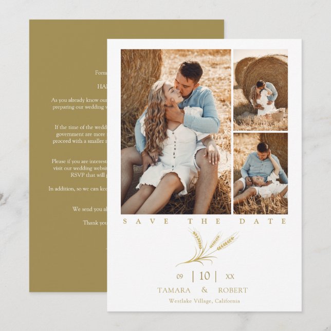 Minimalist Golden Wheat 3 Photos Collage Wedding (Anverso / Reverso)