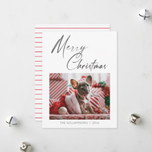 Minimalista Foto Feliz Navidad Escritura Perro Mas