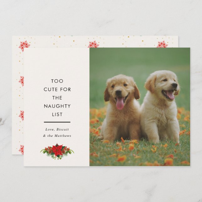 Mínimo dicho lindo mascota foto de Navidad (Anverso / Reverso)