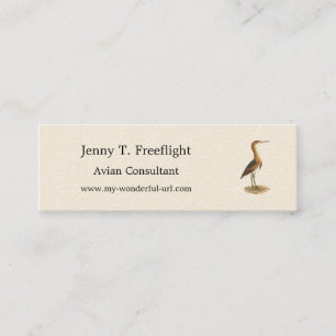 Minitarjeta De Visita Aves de Nueva York al menos Bittern (Ixobrychus ex