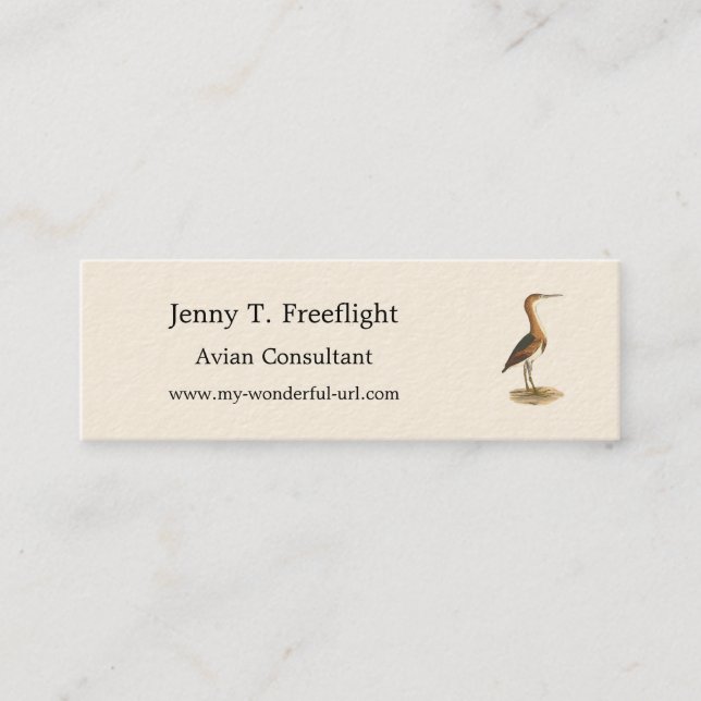 Minitarjeta De Visita Aves de Nueva York al menos Bittern (Ixobrychus ex (Anverso)