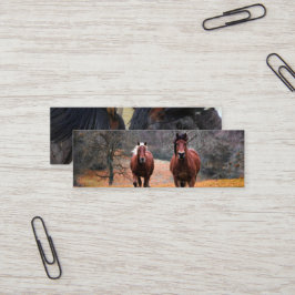Minitarjeta De Visita  Business Cards