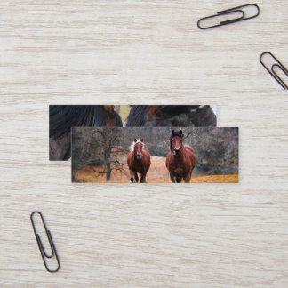 Minitarjeta De Visita  Business Cards