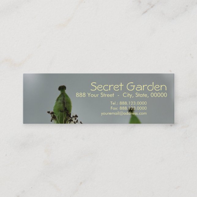 Minitarjeta De Visita Cachorros y sombras (5) (Anverso)