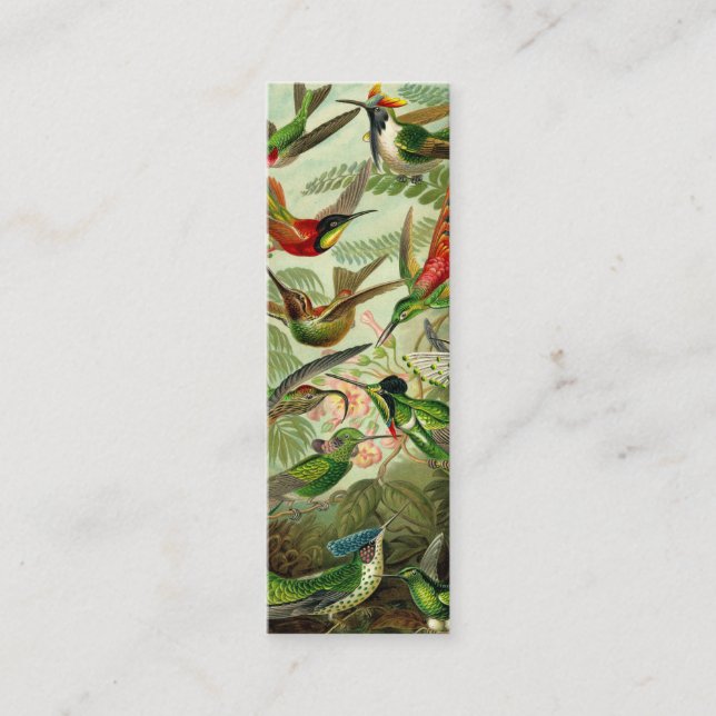 Minitarjeta De Visita Colibrí del Trochilidae de Ernst Haeckel (Anverso)