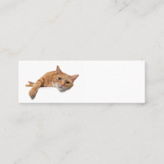 Minitarjeta De Visita El gato del naranja está tumbado