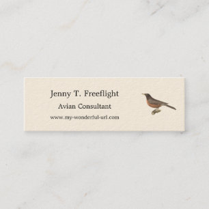 Minitarjeta De Visita El Robin Americano (Turdus migratorius) Aves de Nu