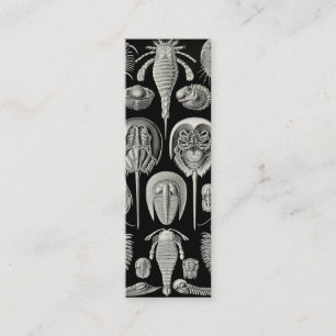 Minitarjeta De Visita Ernst Haeckel Aspidonia