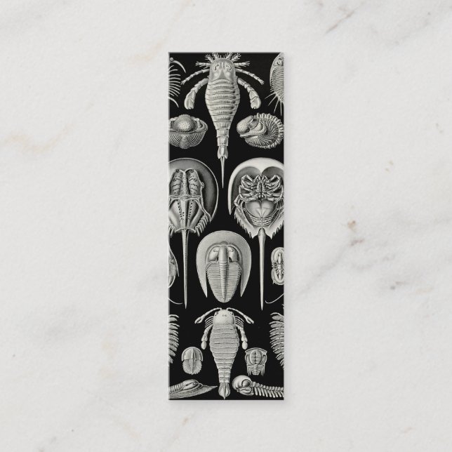 Minitarjeta De Visita Ernst Haeckel Aspidonia (Anverso)