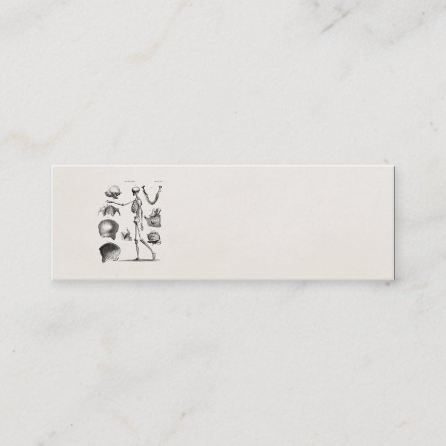 Minitarjeta De Visita Esqueletos antiguos esqueléticos de la anatomía de (Anverso)